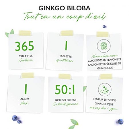 Ginkgo Biloba 6000 mg 365 Comprimes Premium Avec glycosides de flavone ginkgolide terpene lactones acide ginkgolique libre Sans additifs indesirables Hautement dose Vegetalien 0 0