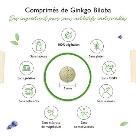 Ginkgo Biloba 6000 mg 365 Comprimes Premium Avec glycosides de flavone ginkgolide terpene lactones acide ginkgolique libre Sans additifs indesirables Hautement dose Vegetalien 0 2