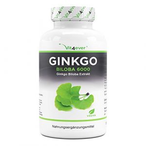 Ginkgo Biloba 6000 mg 365 Comprimes Premium Avec glycosides de flavone ginkgolide terpene lactones acide ginkgolique libre Sans additifs indesirables Hautement dose Vegetalien 0