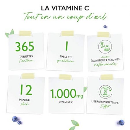 Vitamine C 1000mg 365 comprimes par an Effet a liberation prolongee Teste en laboratoire Vitamine C Extrait deglantier Bioflavonoides dagrumes Vegetalien Fortement dose 0 1
