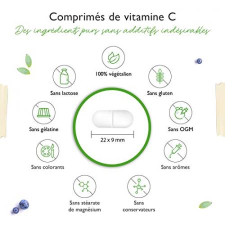 Vitamine C 1000mg 365 comprimes par an Effet a liberation prolongee Teste en laboratoire Vitamine C Extrait deglantier Bioflavonoides dagrumes Vegetalien Fortement dose 0 3